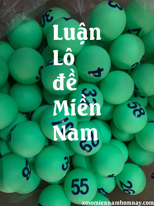 Suy-luan-lo-de-mien-nam